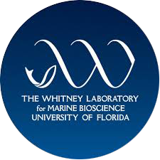 whitney-Labs Whitney Labs