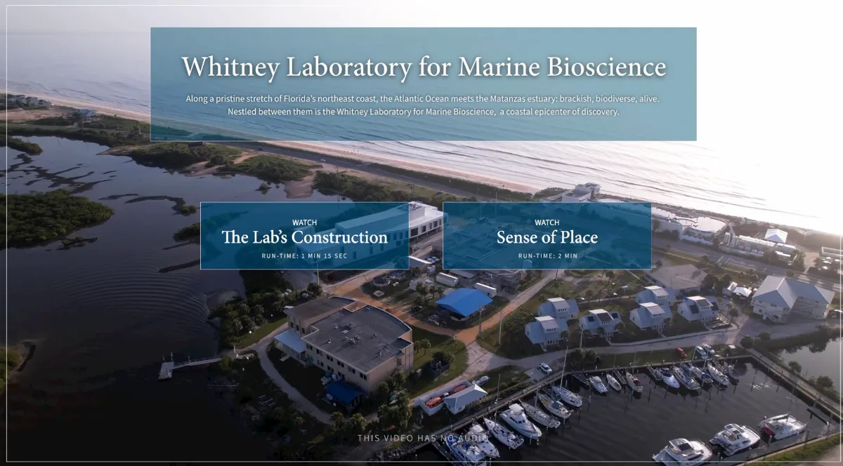 Whitney Labs Sense of Place kiosk with video playback controls