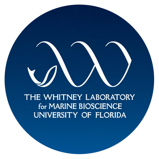 Whitney Laboratory for Marine Bioscience, University of Florida