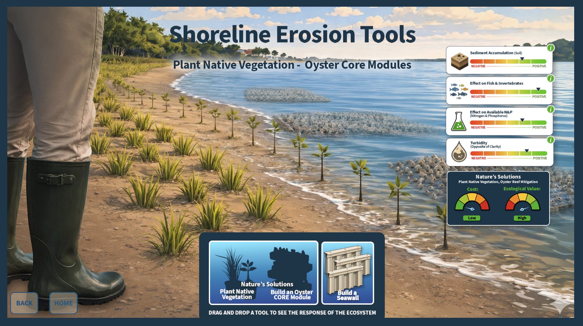 Whitney Labs Restoration shoreline erosion tools simulation