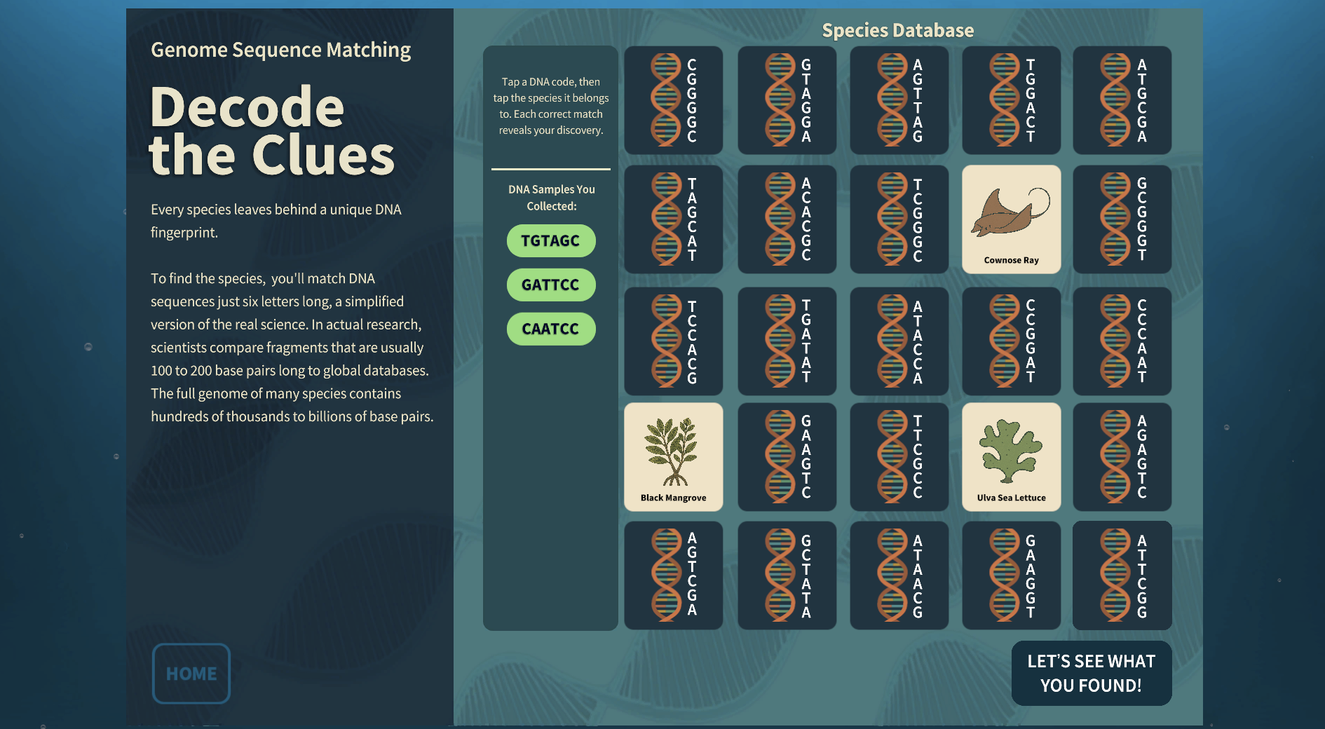 Whitney Labs eDNA genome sequence matching game
