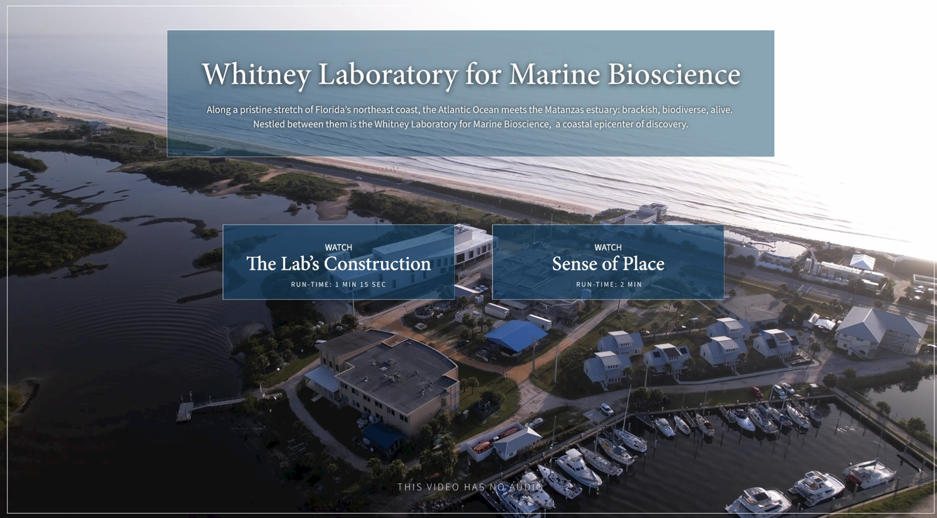 Whitney Labs Sense of Place kiosk with video playback controls