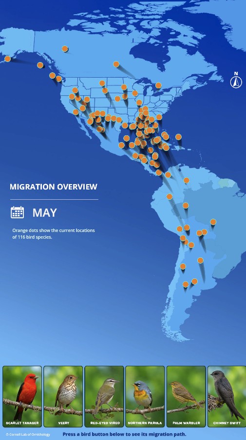 Boyd Hill bird migration interactive data map
