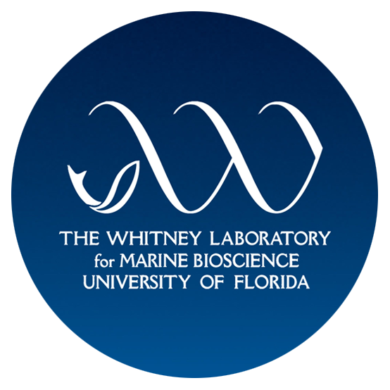 Whitney Laboratory for Marine Bioscience, University of Florida